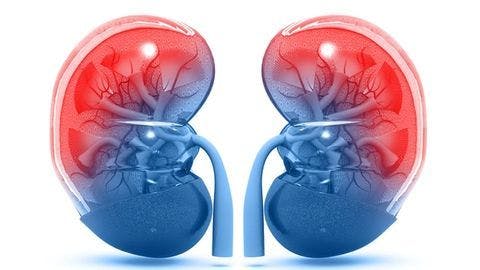 Adjuvant pembrolizumab improves disease-free survival in kidney cancer
