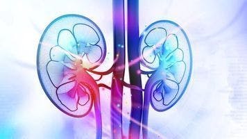 Early safety monitoring critical with lenvatinib/pembrolizumab in kidney cancer
