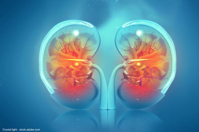 Neoadjuvant axitinib effective in subgroup of patients with renal cell carcinoma