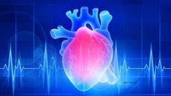 Heart disease risk higher in GU cancer survivors