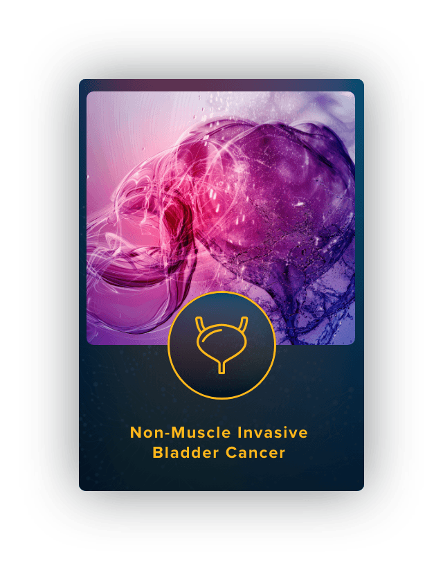 Non-muscle-invasive Bladder Cancer