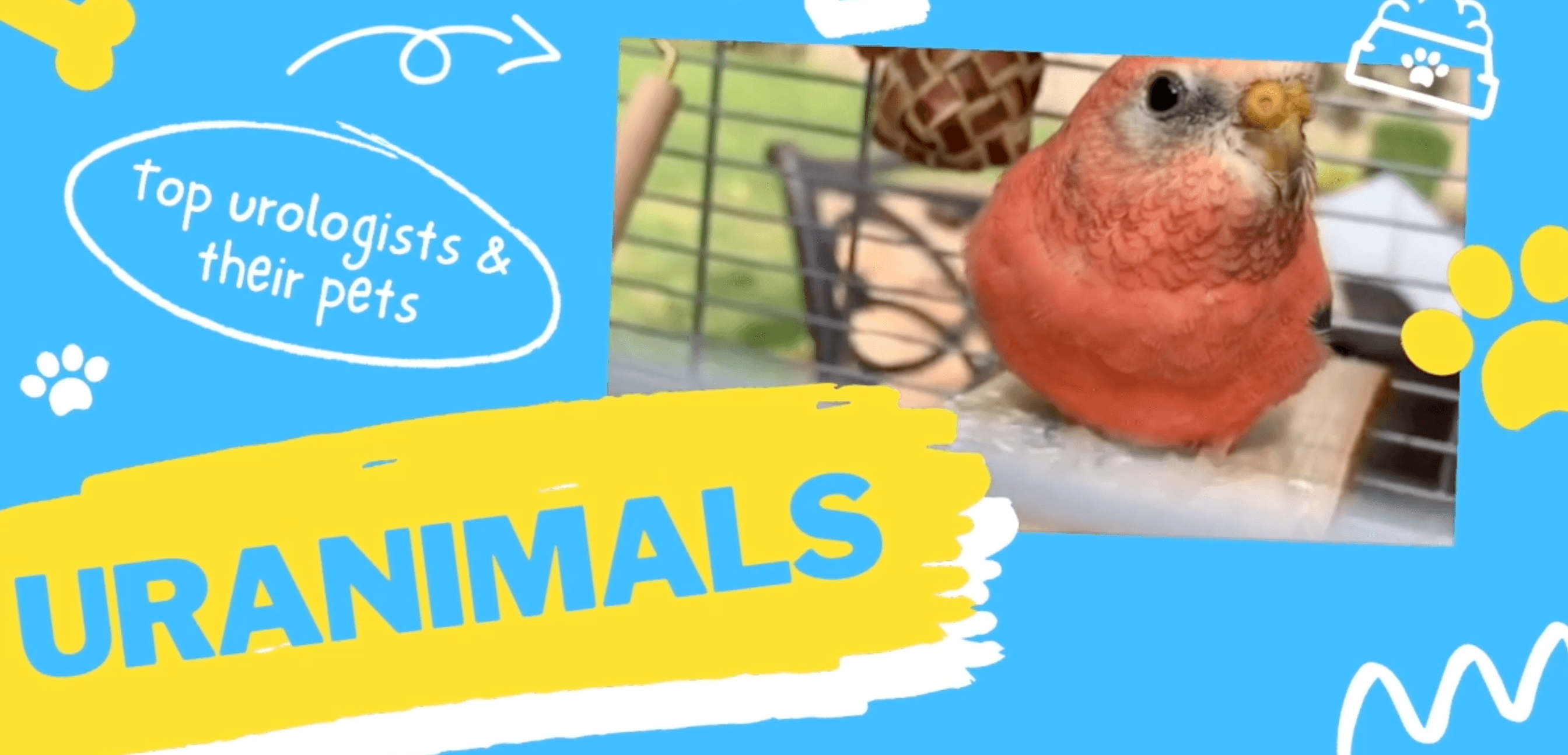 Uranimals: Episode 2