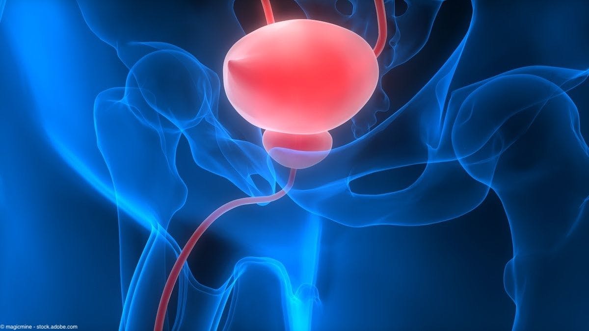 Illustration of bladder | Image Credit: © magicmine - stock.adobe.com